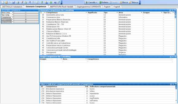 Business_intelligence_valutazione_del_personale_dizionario_competenze_580